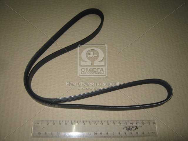 Зображення 8