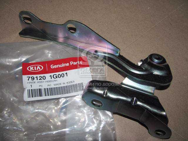 Изображение 1