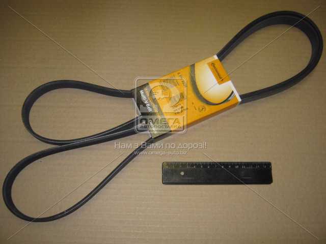 Зображення 1