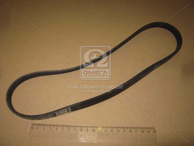 Зображення 7