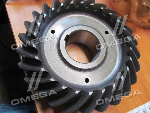 Изображение 3