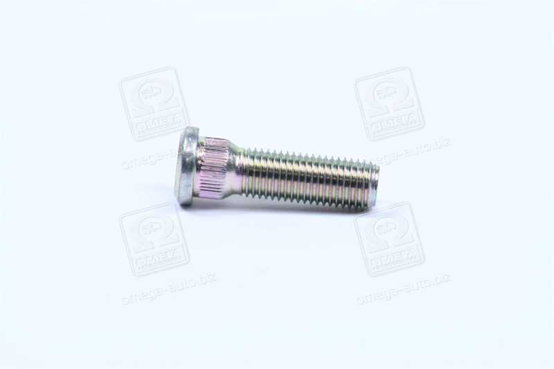 Зображення 1